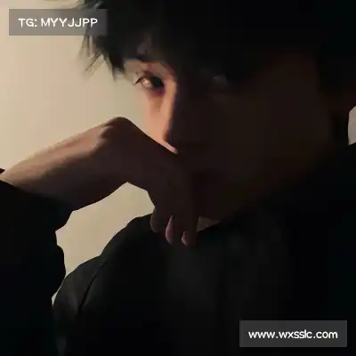 梅鹃仪